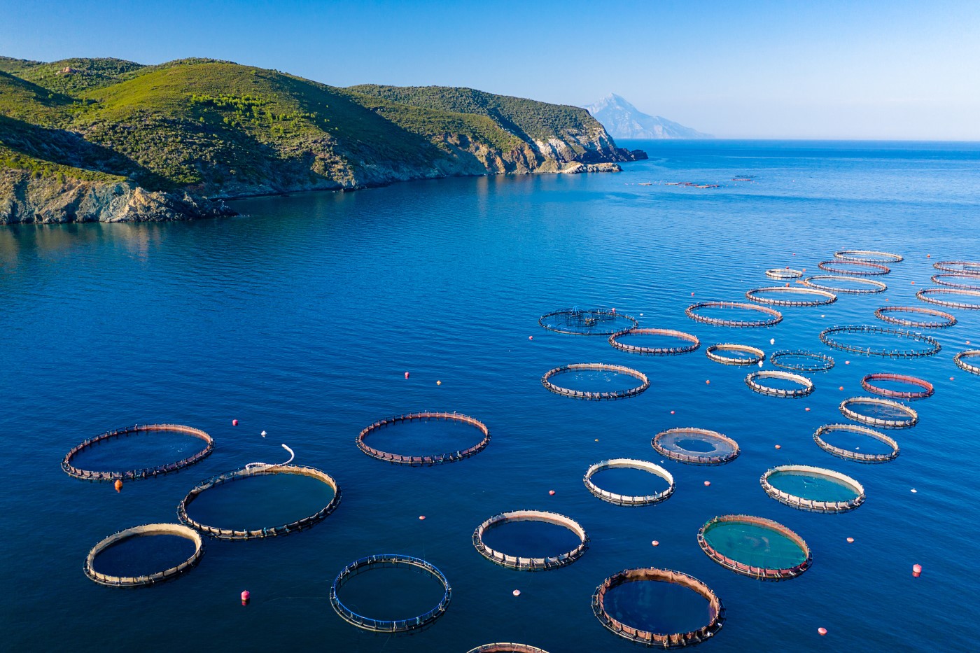 Aquaculture and Fisheries-2 Aquaculture and Fisheries-2