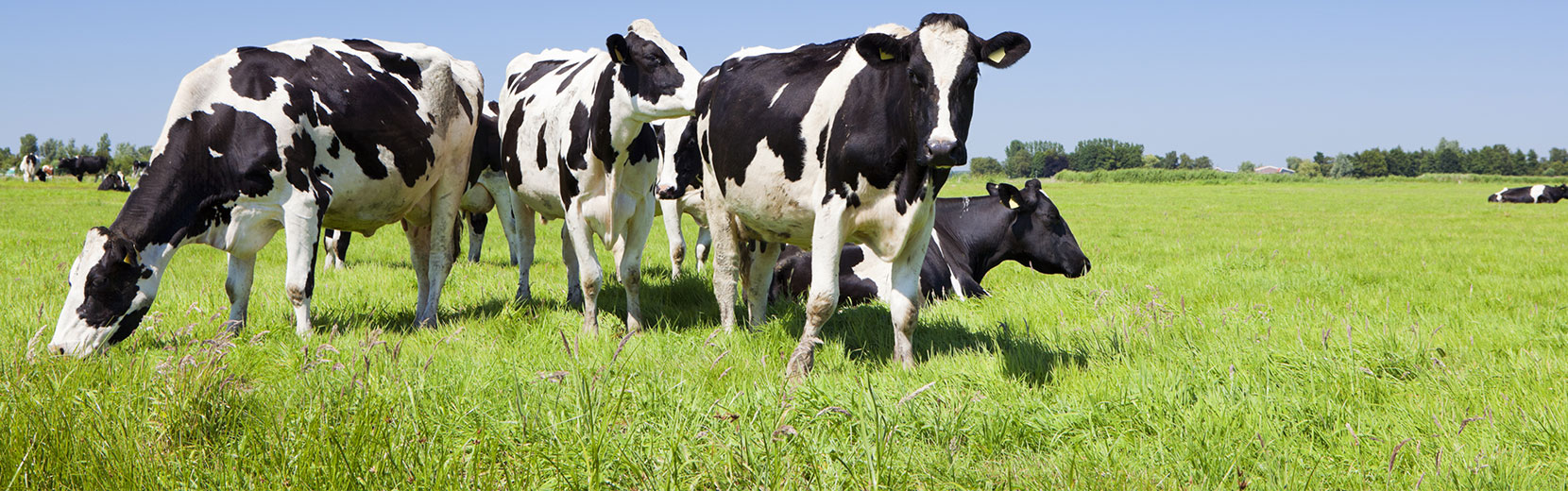 header-feed-1 header-feed-1