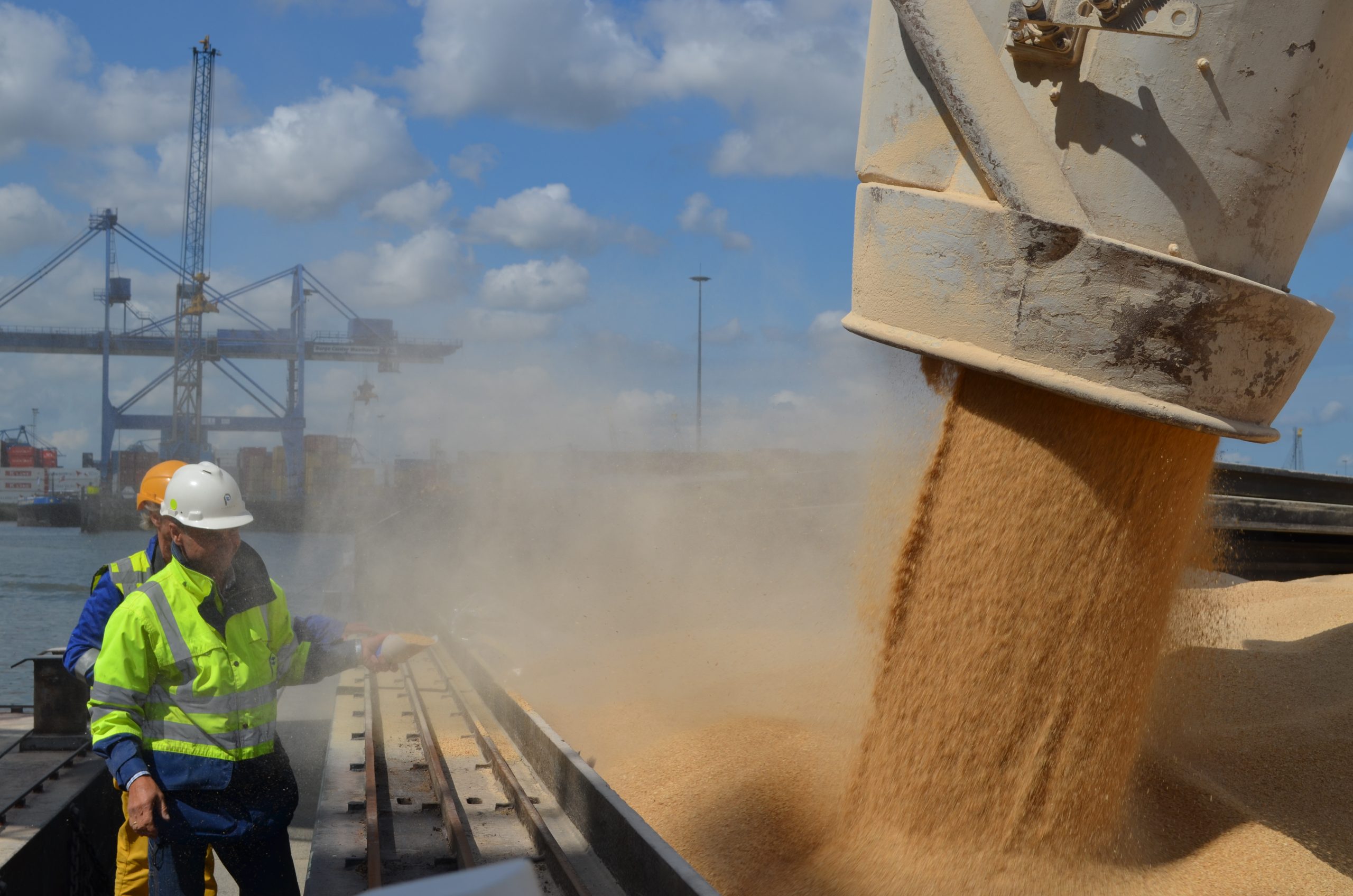 Muestreo y control de calidad