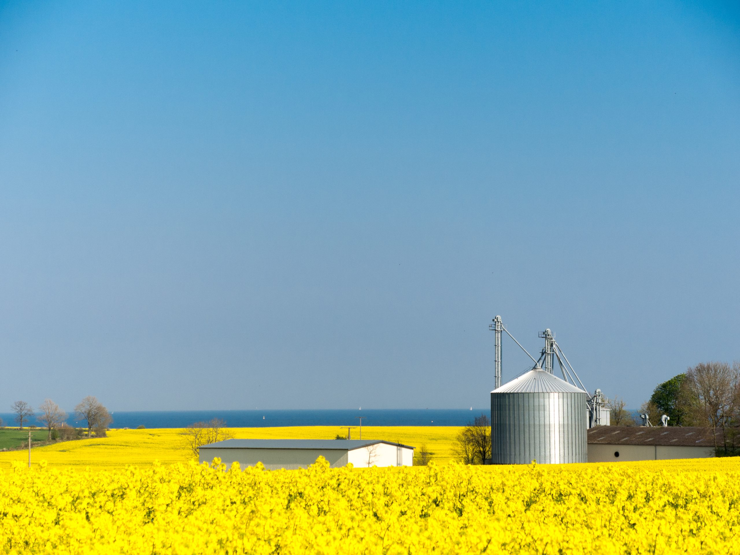Nachhaltige Landwirtschaft Biogasanlage in einem Rapsfeld Nachhaltige Landwirtschaft Biogasanlage in einem Rapsfeld