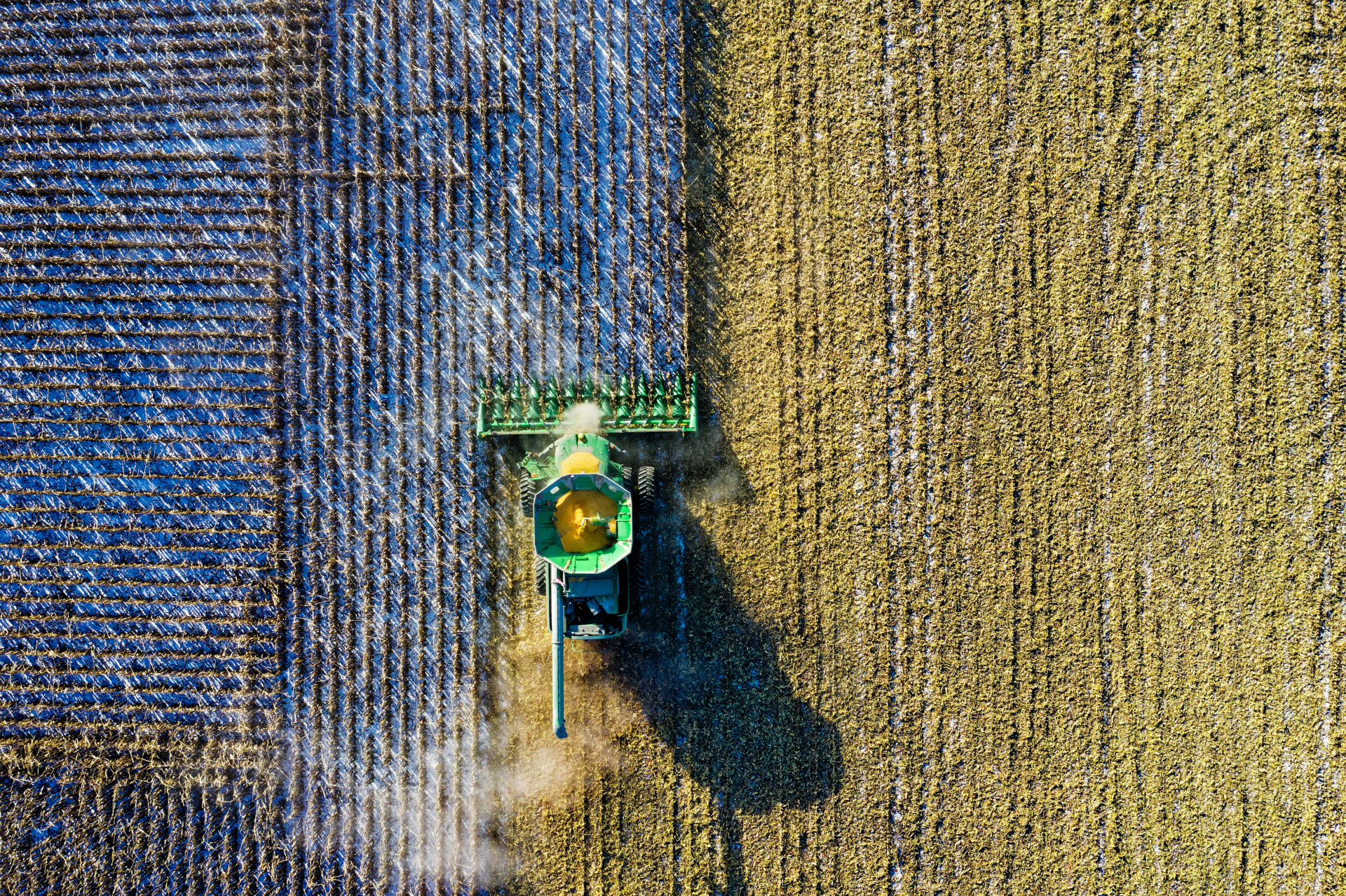 Agriculture Agriculture