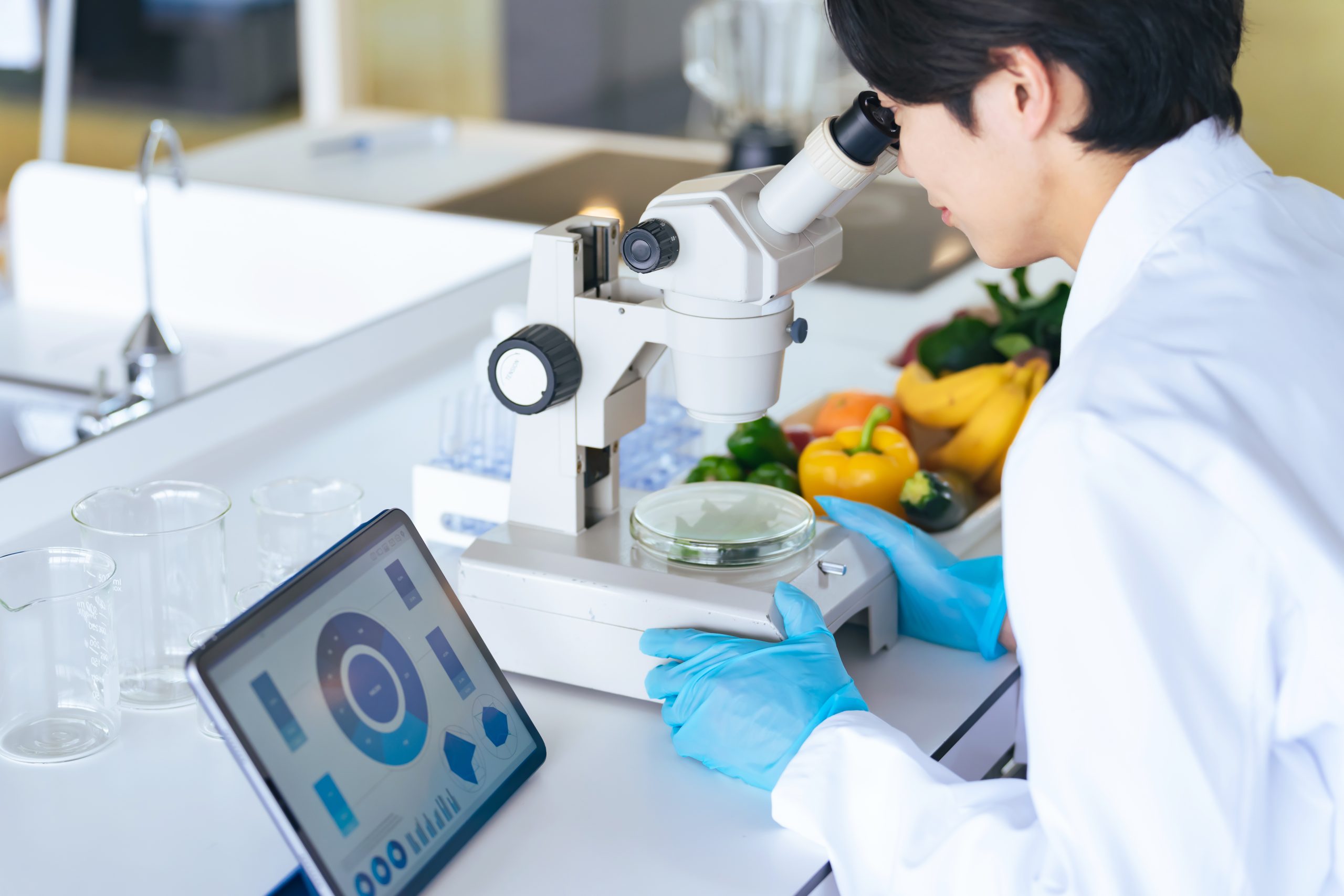 Seguridad alimentaria
