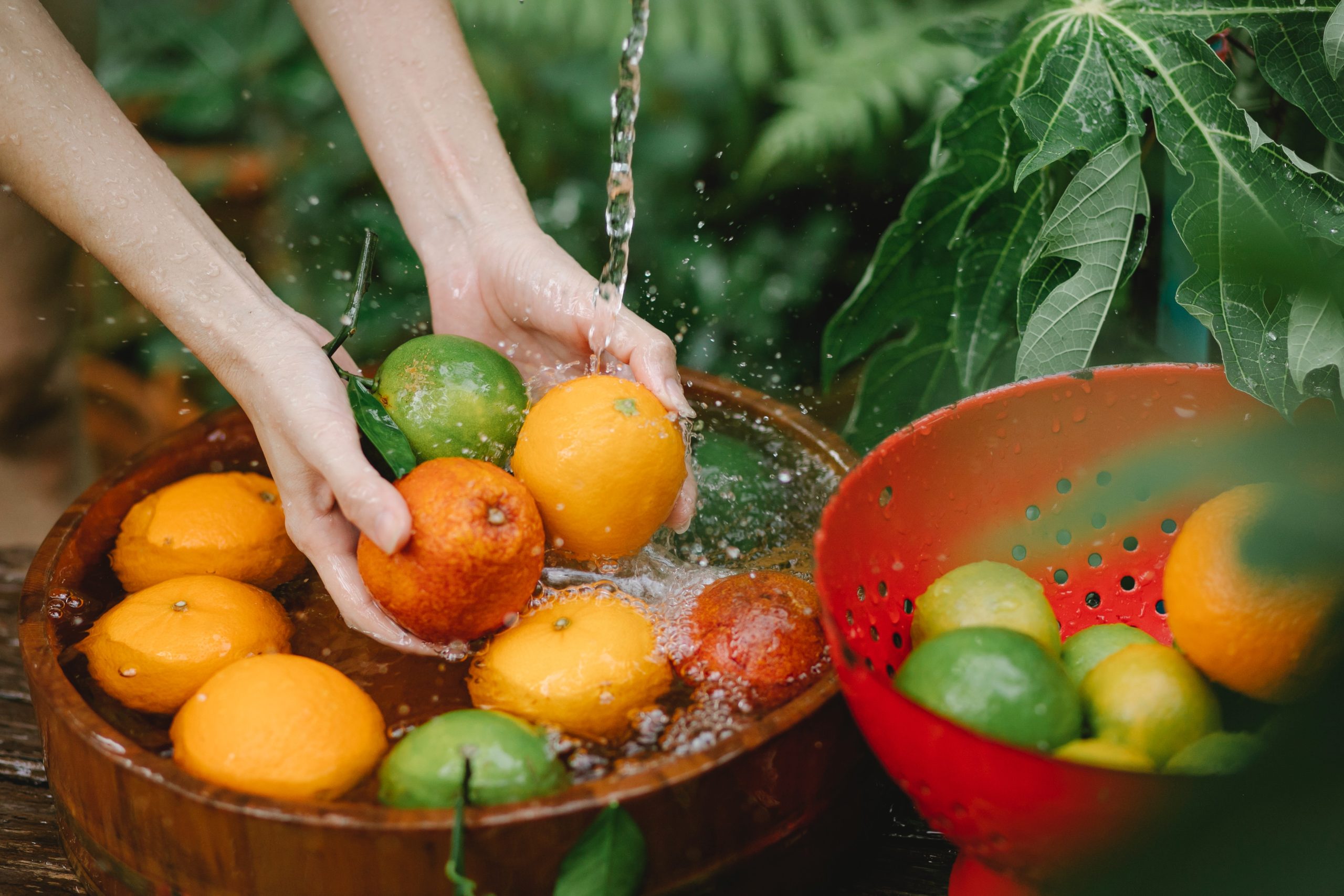 Frutas y cítricos Frutas y cítricos