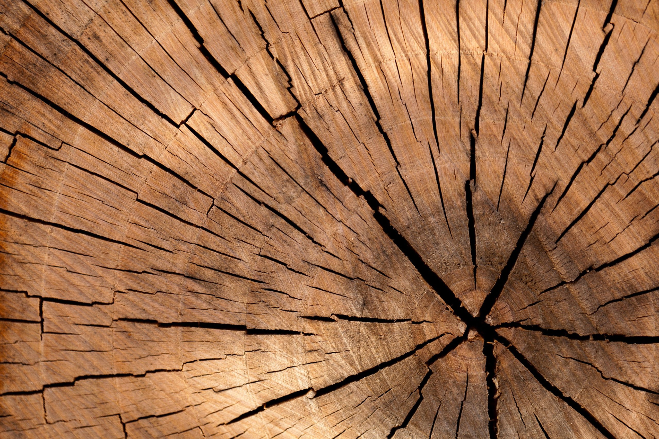 Wood